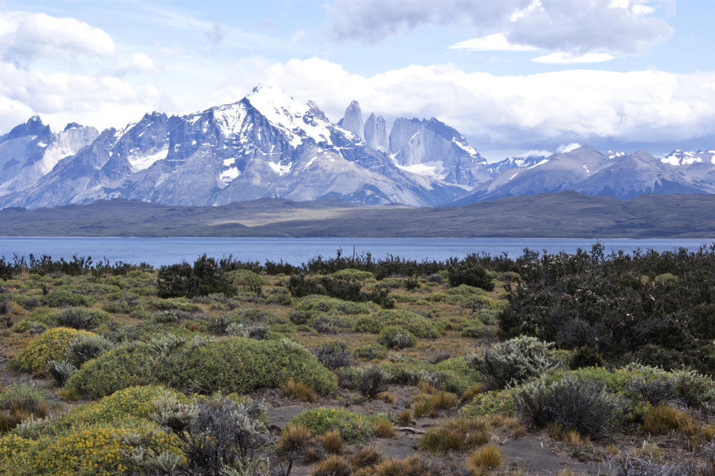 Tierra Patagonia Hotel&spa Hotel Torres del Paine National Park